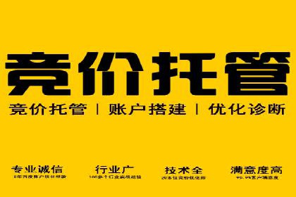 竞价托管实战：案例解析广告投放优化
